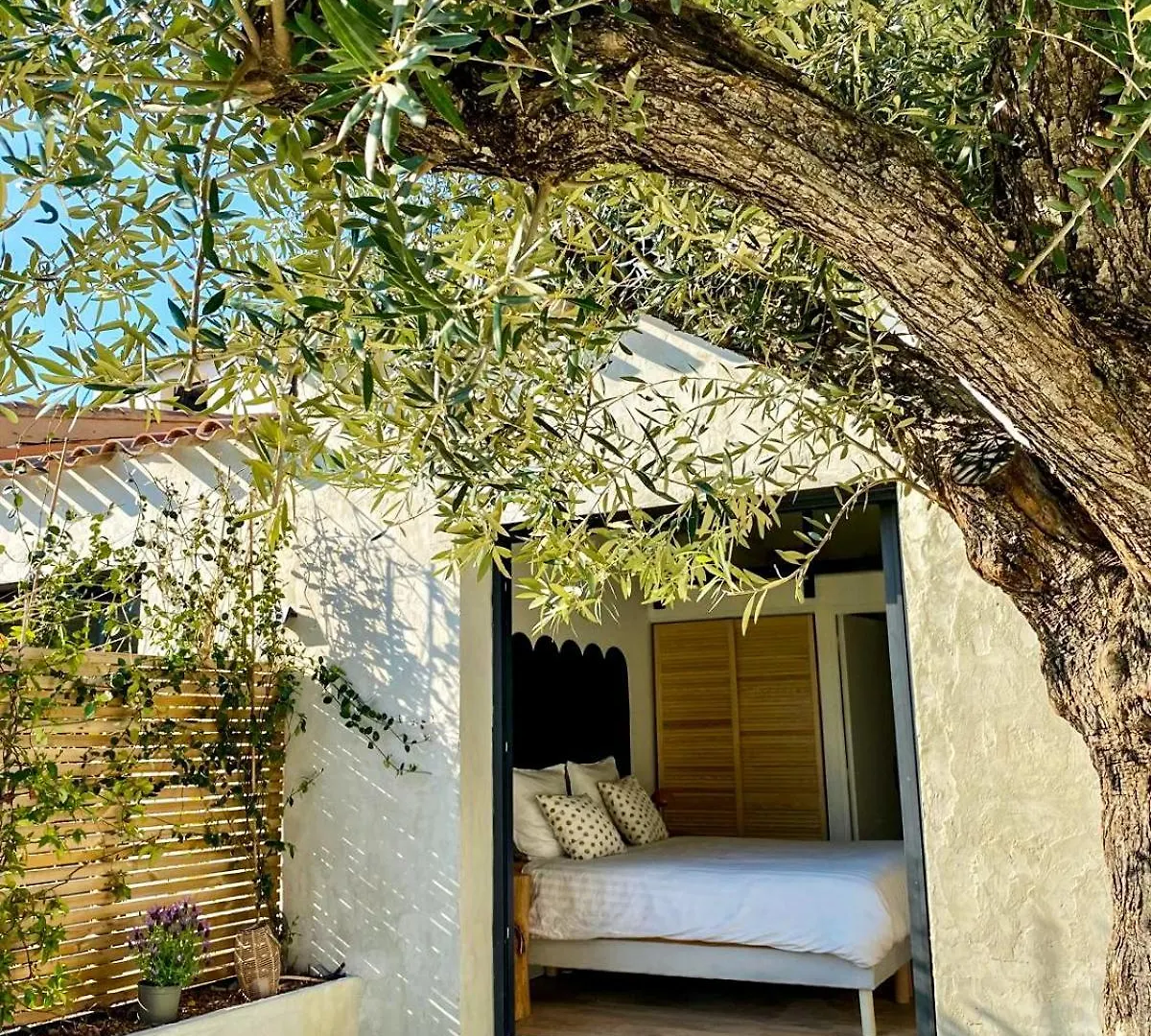 L'Hotel Des Oiseaux Les Baux-de-Provence