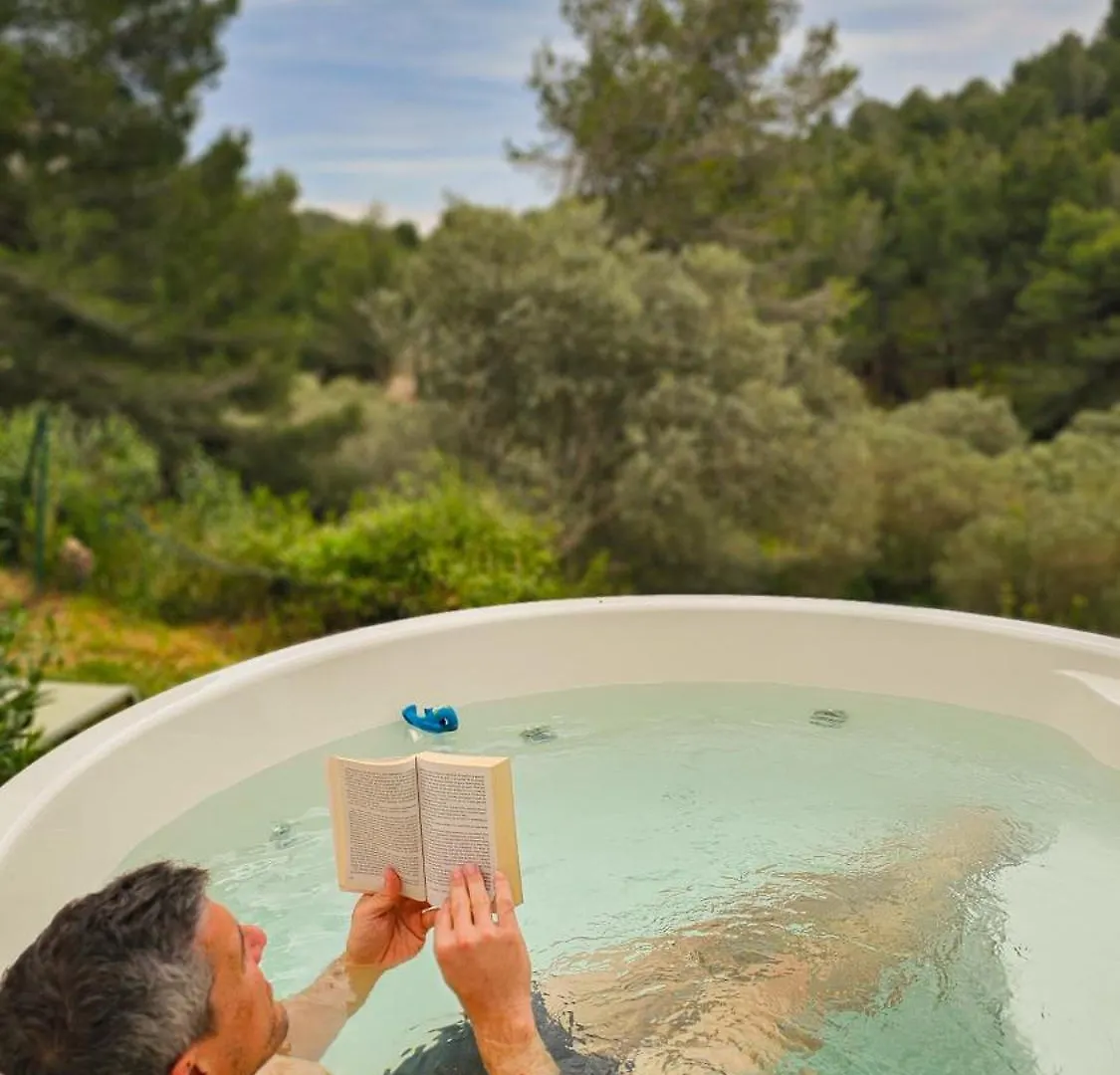 L'Hotel Des Oiseaux Les Baux-de-Provence